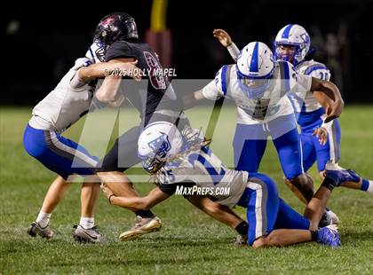 Thumbnail 1 in Booker T. Washington @ Navarre photogallery.