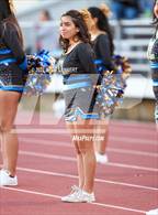 Photo from the gallery "Terra Linda @ Petaluma"