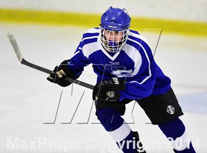 Thumbnail 3 in Hall-Southington vs. Newtown (CIAC DIII Quarterfinal) photogallery.