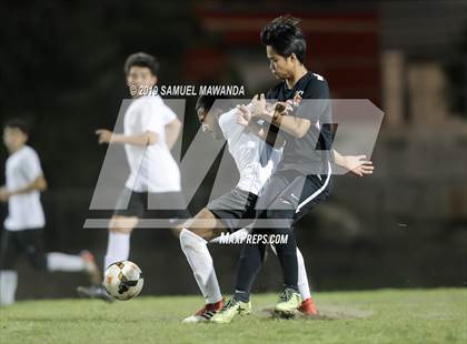 Thumbnail 2 in Taft vs Cleveland photogallery.