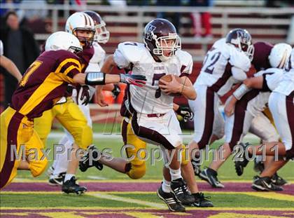 Thumbnail 3 in North Haven @ Sheehan photogallery.