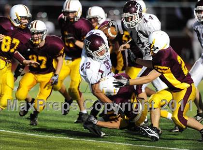 Thumbnail 2 in North Haven @ Sheehan photogallery.