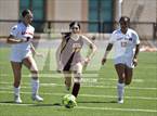 Photo from the gallery "Portales @ Academy for Technology and The Classics "