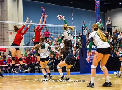 Thumbnail 1 in Northwest Guilford vs. Cardinal Gibbons (NCHSAA 4A Final) photogallery.