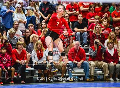 Thumbnail 1 in Northwest Guilford vs. Cardinal Gibbons (NCHSAA 4A Final) photogallery.