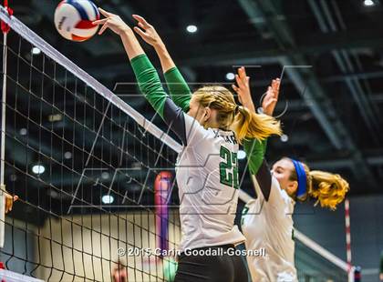 Thumbnail 1 in Northwest Guilford vs. Cardinal Gibbons (NCHSAA 4A Final) photogallery.