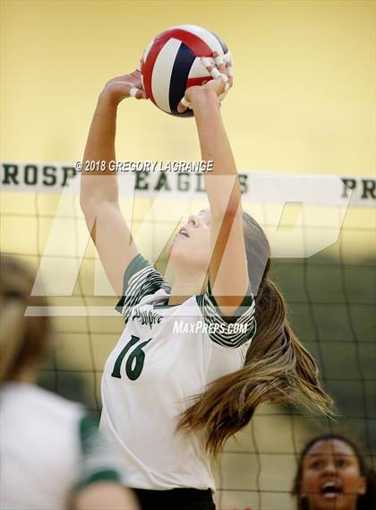 Thumbnail 1 in Lovejoy vs Prosper photogallery.