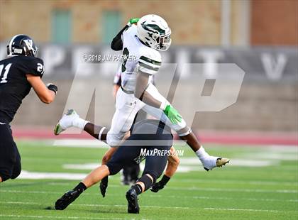 Thumbnail 2 in Ellison @ Vandegrift photogallery.