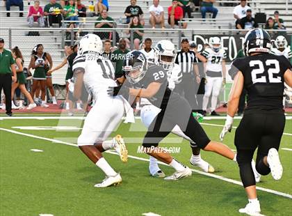 Thumbnail 2 in Ellison @ Vandegrift photogallery.