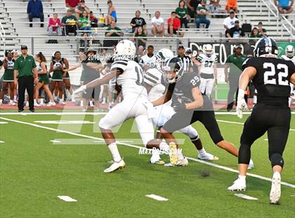 Thumbnail 1 in Ellison @ Vandegrift photogallery.