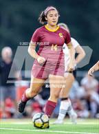 Photo from the gallery "Yelm @ Capital"