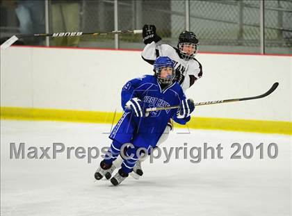 Thumbnail 3 in West Haven @ North Haven photogallery.
