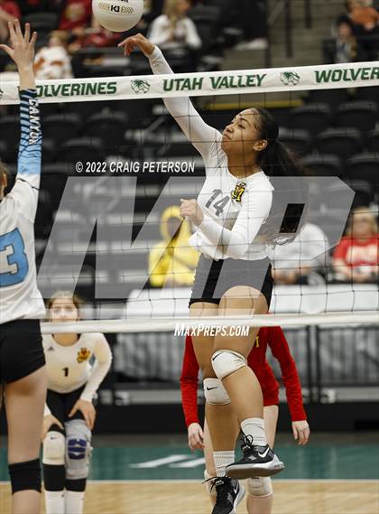 Thumbnail 3 in Canyon View vs. Judge Memorial (UHSAA 3A Consolation Semis) photogallery.