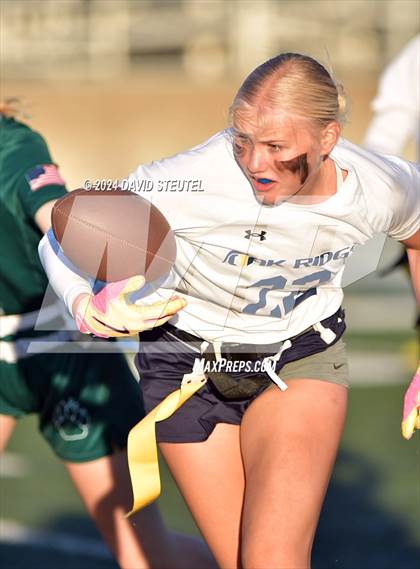Thumbnail 3 in Oak Ridge @ Ponderosa (Foundation Game) photogallery.