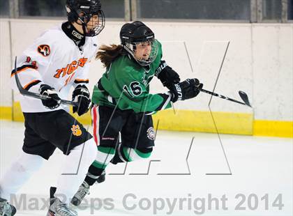 Thumbnail 3 in Yorktown @ White Plains photogallery.
