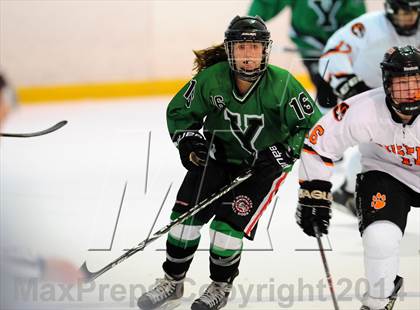 Thumbnail 3 in Yorktown @ White Plains photogallery.
