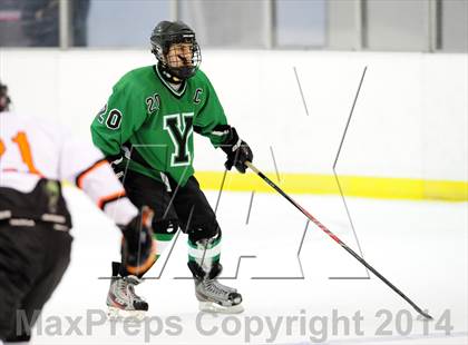 Thumbnail 1 in Yorktown @ White Plains photogallery.
