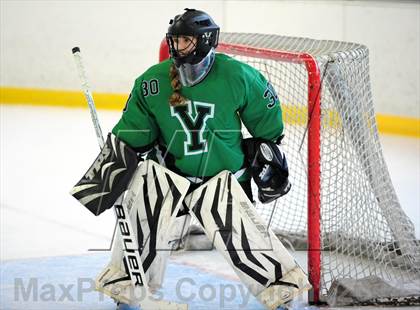 Thumbnail 3 in Yorktown @ White Plains photogallery.