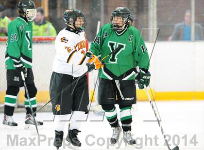 Thumbnail 2 in Yorktown @ White Plains photogallery.