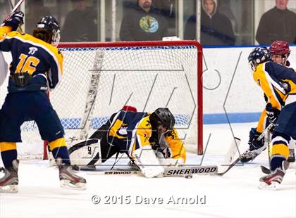 Thumbnail 2 in Minuteman Regional @ Dedham photogallery.