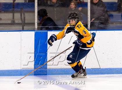 Thumbnail 3 in Minuteman Regional @ Dedham photogallery.