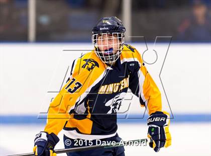 Thumbnail 2 in Minuteman Regional @ Dedham photogallery.