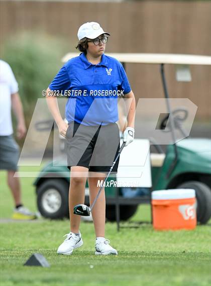 Thumbnail 2 in UIL 3A Golf Championship  photogallery.