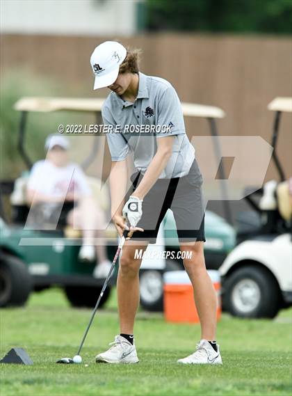 Thumbnail 1 in UIL 3A Golf Championship  photogallery.
