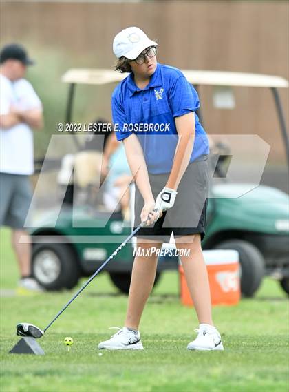 Thumbnail 1 in UIL 3A Golf Championship  photogallery.