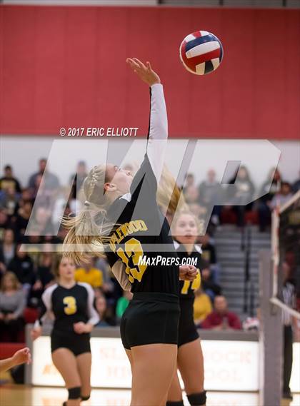 Thumbnail 1 in Clarion Area vs Maplewood (PIAA A Semifinal) photogallery.