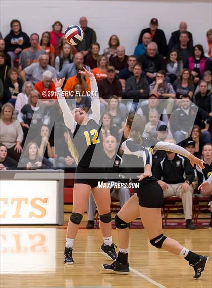 Thumbnail 1 in Clarion Area vs Maplewood (PIAA A Semifinal) photogallery.