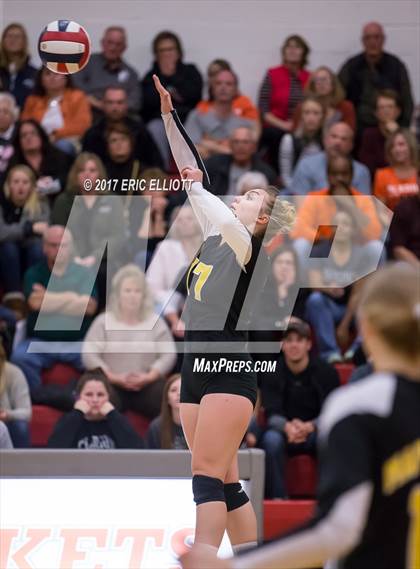 Thumbnail 2 in Clarion Area vs Maplewood (PIAA A Semifinal) photogallery.