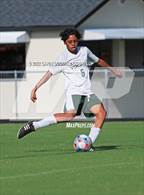 Photo from the gallery "White Oak @ Havelock"