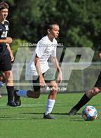 Photo from the gallery "White Oak @ Havelock"