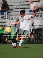 Photo from the gallery "White Oak @ Havelock"