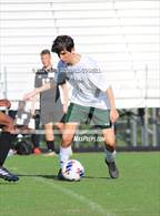 Photo from the gallery "White Oak @ Havelock"