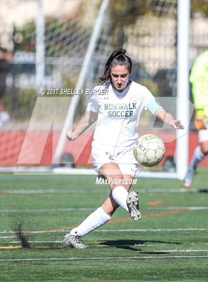 Thumbnail 2 in Ludlowe @ Norwalk photogallery.