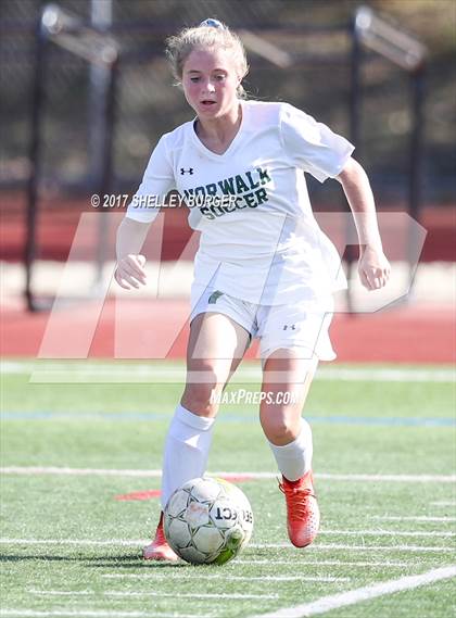 Thumbnail 1 in Ludlowe @ Norwalk photogallery.