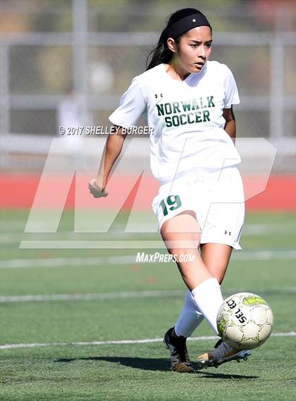 Thumbnail 2 in Ludlowe @ Norwalk photogallery.