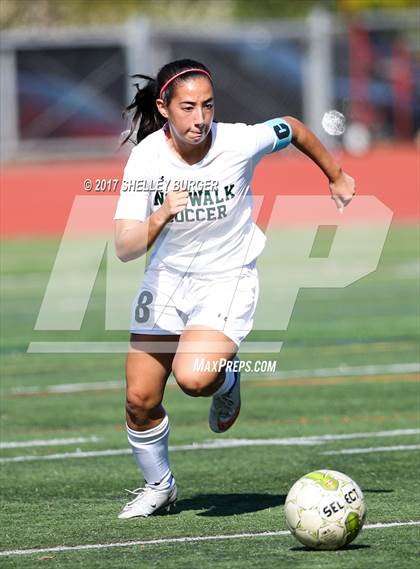 Thumbnail 2 in Ludlowe @ Norwalk photogallery.
