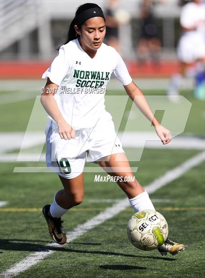 Thumbnail 1 in Ludlowe @ Norwalk photogallery.