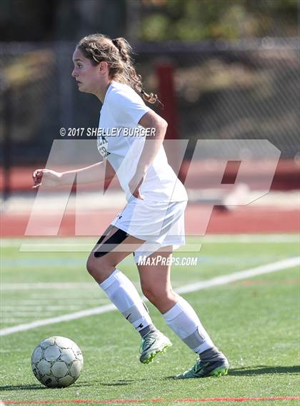 Thumbnail 1 in Ludlowe @ Norwalk photogallery.