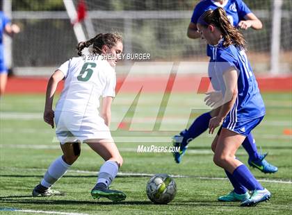 Thumbnail 3 in Ludlowe @ Norwalk photogallery.