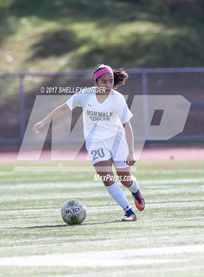 Thumbnail 2 in Ludlowe @ Norwalk photogallery.