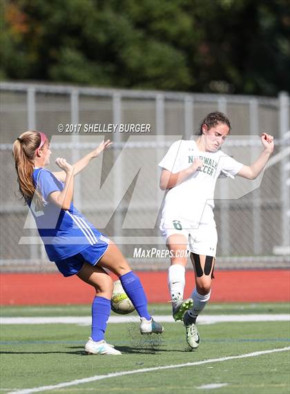 Thumbnail 1 in Ludlowe @ Norwalk photogallery.