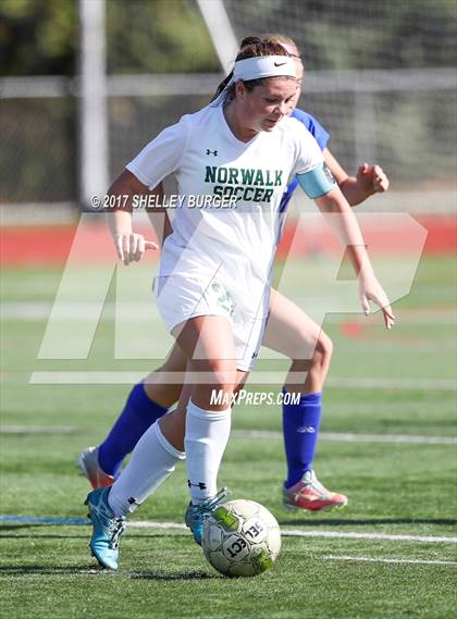 Thumbnail 2 in Ludlowe @ Norwalk photogallery.