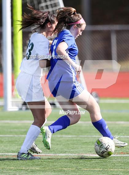 Thumbnail 1 in Ludlowe @ Norwalk photogallery.