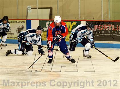 Thumbnail 2 in Cherry Creek @ Ralston Valley photogallery.