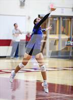 Photo from the gallery "Middletown @ Kingston"