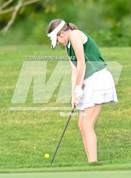 Thumbnail 3 in New Castle @ Yorktown  photogallery.